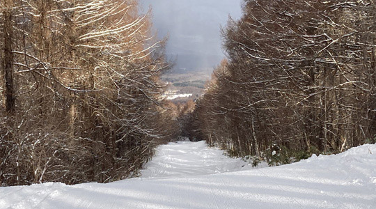 からまつコース